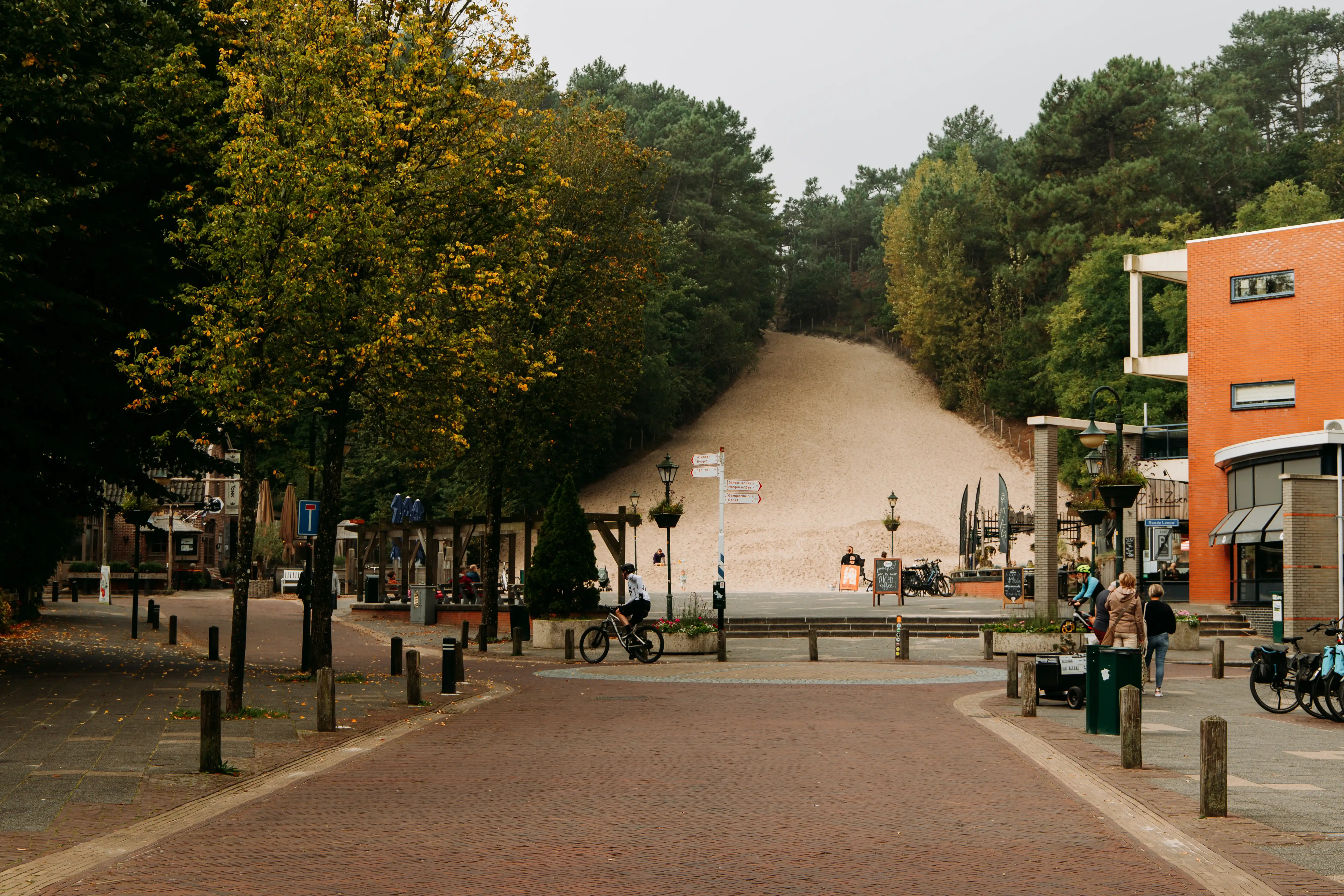Klimduin in Schoorl